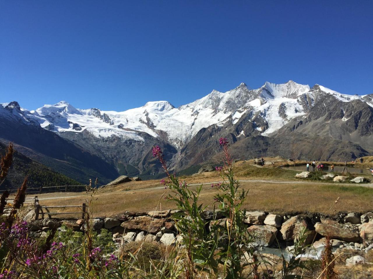 Sunshine Lägenhet Saas-Grund Exteriör bild